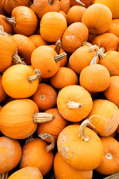 Wir Wissen Dass Der Herbst Ist Wenn Auslagen Voller Kürbisse — Stockfoto