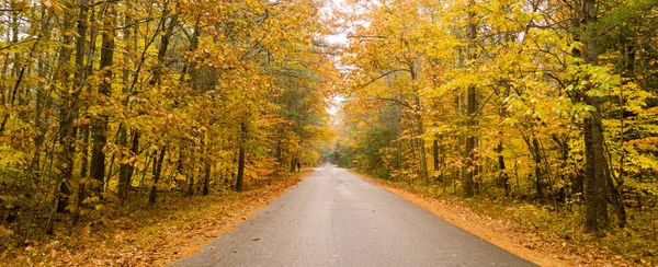 Camino Rural Recorre Entre Árboles Que Muestran Brillante Color Otoño — Foto de Stock