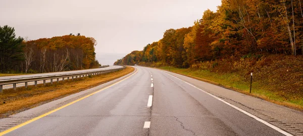 Rural Country Road Travels Trees Showing Bright Fall Color Winter — Stock Photo, Image