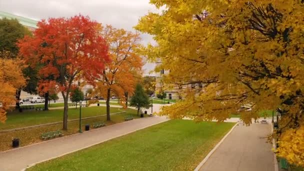 Capitol Building Státní Dům Albany New York Podzim Barevný Podzim — Stock video