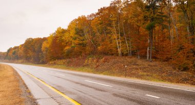 New England Güz renk yola çevrili ıslak karayolu üzerinde hiçbir trafik
