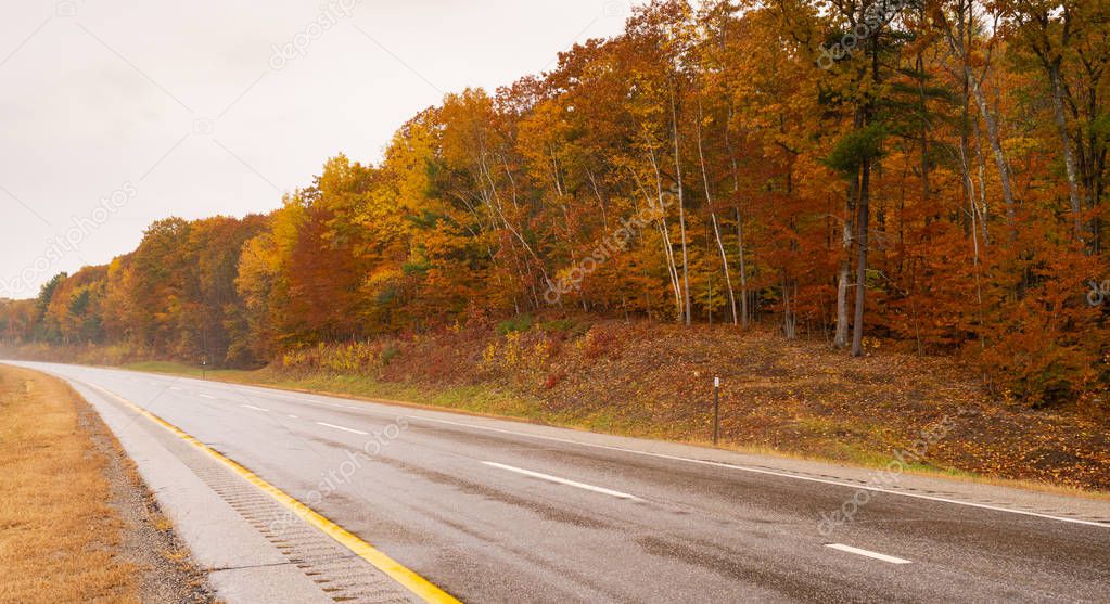 No traffic on the wet highway flanked by fall color in New England on the open road