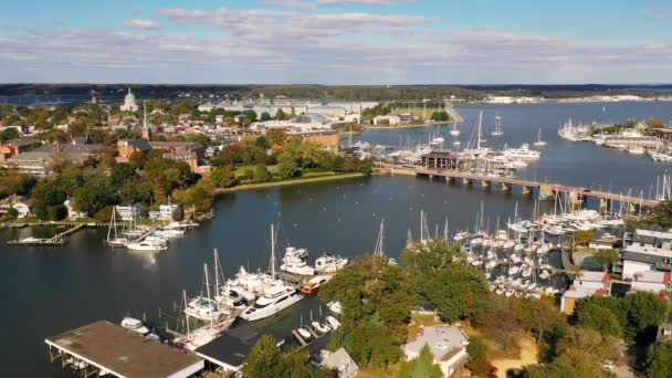 Aerial Harbor View Military Academy Annapolis Huvudstad Maryland — Stockvideo