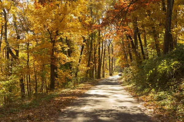 Camino Rural Recorre Entre Árboles Que Muestran Brillante Color Otoño — Foto de Stock