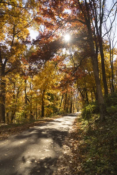 Rural Landscape Country Road Fall Autumn Season Leaves Changing Color — Stock Photo, Image