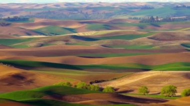 Görünümden Steptoe Butte Doğu Washington Palouse köy ve çiftlik turizmi