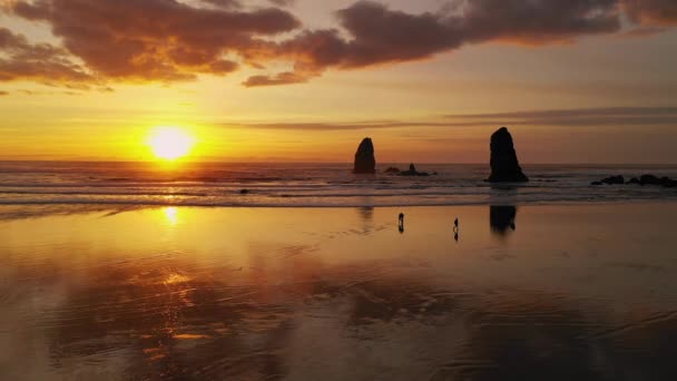 Mensen Lopen Cannon Beach Als Pacific Ocean Waves Reflecteren Zonsondergang — Stockvideo