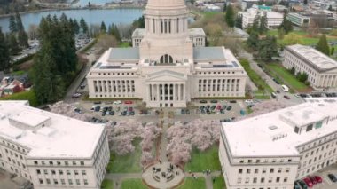 Olympia Washington devlet sermaye binasında bahar kiraz çiçekleri
