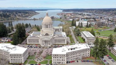 Spring Cherry Blossoms at the State Capital Building in Olympia  clipart