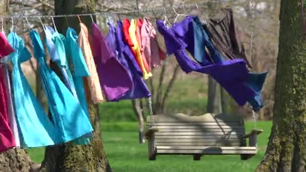 Ubrania Linii Suszenia Poza Pobliżu Swing Bench Kolorowe Damskie Sukienki — Wideo stockowe