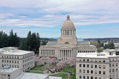 Washington'da Bahar Kiraz Çiçekleri Over Hava Perspektifi