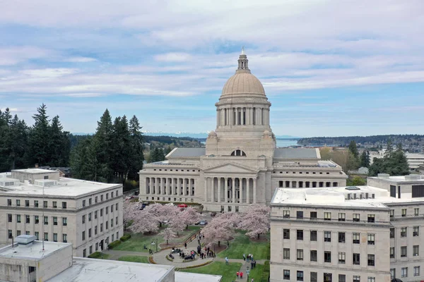 Luchtperspectief boven de lente kersenbloesem in de Washington — Stockfoto