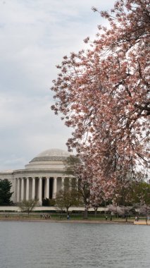 Jefferson Memorial ve İnsanlar Gelgit Havzası Çiçekleri Zevk