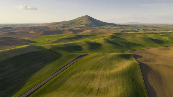 Long Shadows Appear in Late Afternoon Steptoe Butte Palouse Region — Stock Photo, Image
