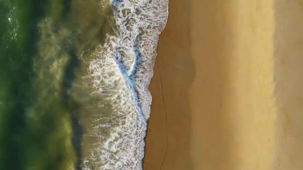 エメラルド海の波は バージニアビーチUsaで砂の上に押し上げる — ストック動画