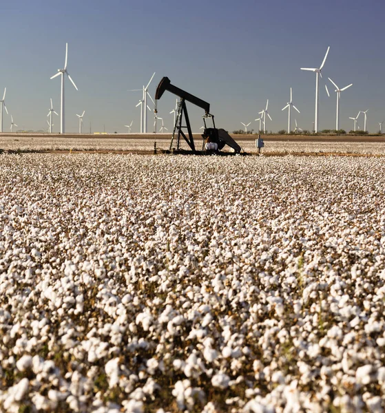 Texas Cotton Filed Textile Agriculture Oil Industry PumpJack — Stock Photo, Image