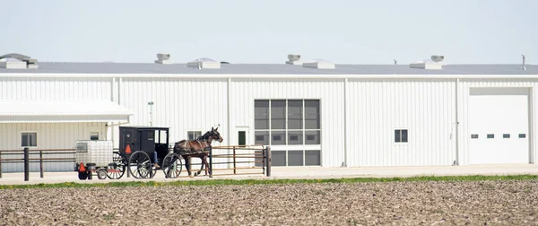 Horse Drawn Carraige Moves Along Towing Farm Tools Trailer — Stock Photo, Image