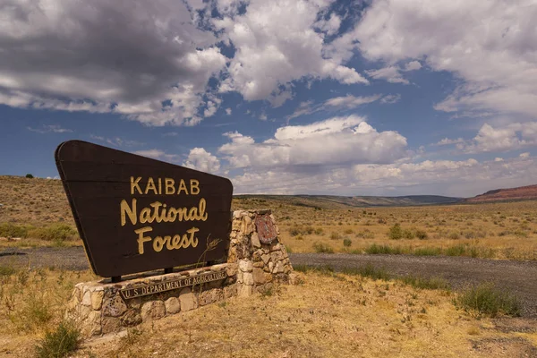 Kaibab National Forest znak stoi przeciw białym chmurom błękitne niebo — Zdjęcie stockowe