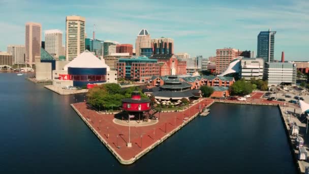 Baltimore Maryland Downtown City Skyline Πάνω Από Λιμάνι — Αρχείο Βίντεο