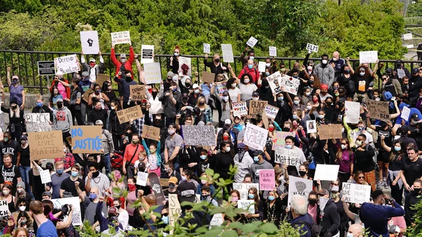 Seattle Usa Junho Protestantes Street View Criam Uma Cena Máfia — Fotografia de Stock