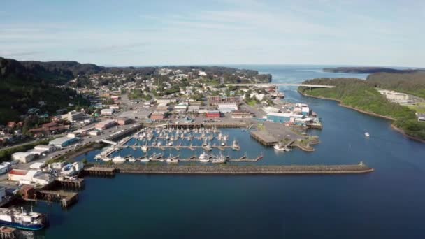 Marina Tekneleri Kodiak Adası Limanı Üzerinde Güzel Bir Gün — Stok video
