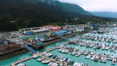Fişler Diriliş Körfezi Alaska 'daki marinada paketlenmiş.