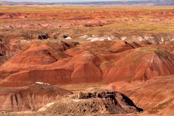 Taşlaşmış Orman Ulusal Parkı Kuzeydoğu Arizona Güneyinde Gökkuşağı Ormanı Renkli — Stok fotoğraf