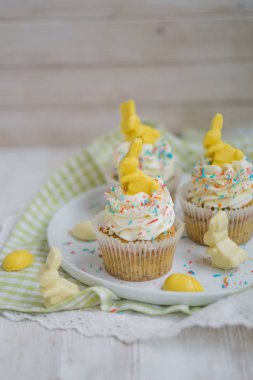 Limonlu Haşhaşlı kek çikolata Paskalya tavşanı ve yumurta ile yakın kadar seçici odak