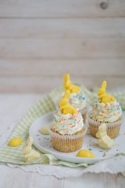 Limonlu Haşhaşlı kek çikolata Paskalya tavşanı ve yumurta ile yakın kadar seçici odak