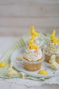 Limonlu Haşhaşlı kek çikolata Paskalya tavşanı ve yumurta ile yakın kadar seçici odak