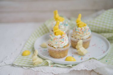 Limonlu Haşhaşlı kek çikolata Paskalya tavşanı ve yumurta ile yakın kadar seçici odak