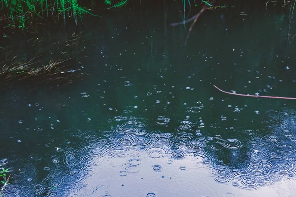 夏天多云的天气在水上的雨圈 — 图库照片