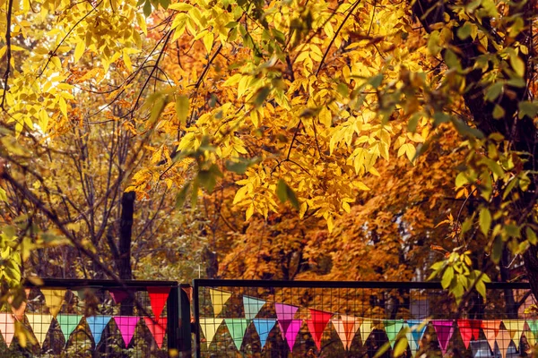 Folhas Outono Ouro Ensolarado Bandeiras Coloridas Parque — Fotografia de Stock