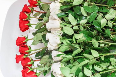 Banyo keyfi için çok kırmızı ve beyaz güller