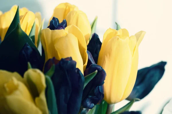 Gelbe Frische Frühlingstulpen Für Geschenk Und Gute Laune — Stockfoto