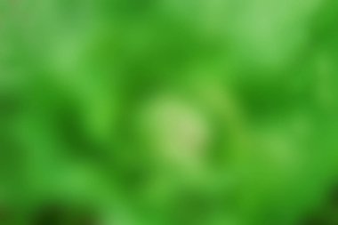 Soyut yeşil arkaplan