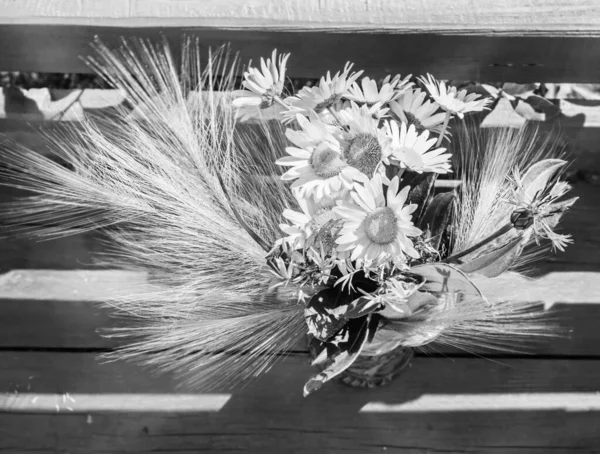 Bouquet Marguerites Oreilles Noir Blanc — Photo