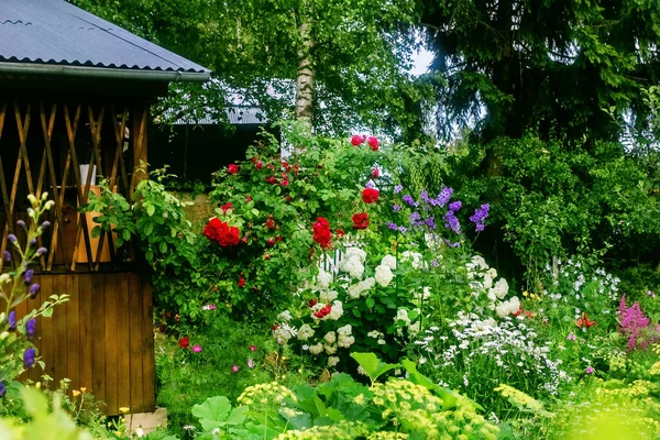 Piuttosto Accogliente Giardino Fiorito Con Gazebo Nella Soleggiata Giornata Estiva — Foto Stock