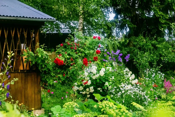 Досить Затишний Квітучий Сад Альтанкою Сонячний Літній День Стокове Фото