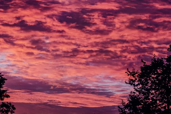 Real Purple Clouds Sunset Sky Romantic Happy Mood — Stock Photo, Image