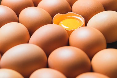 Tavuk yumurta ve yumurta sarısı üst üste.