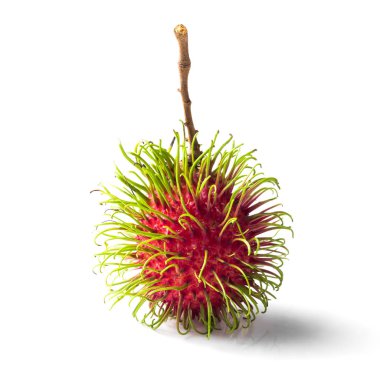 tek rambutan beyaz arka plan üzerinde izole.