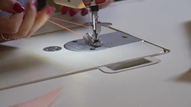 職場で女性の裁縫師 — ストック動画