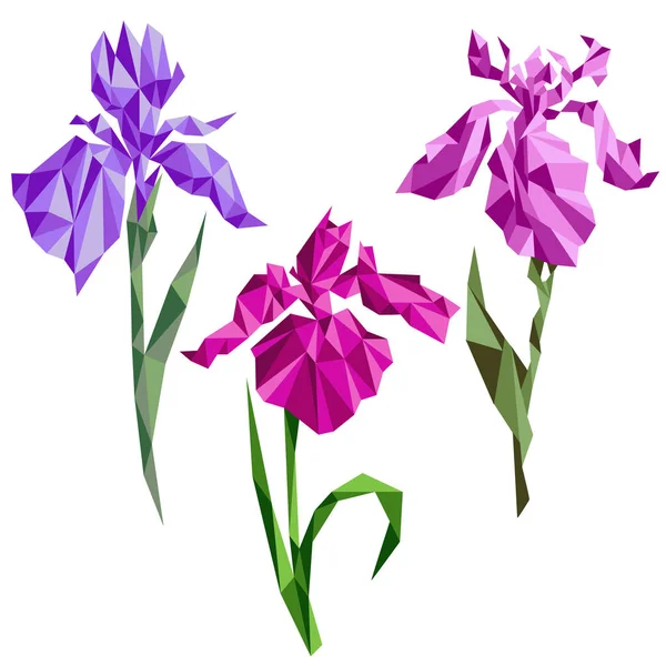 Vektör Iris çiçek stilyzed poligonal çizim origami benzer olarak