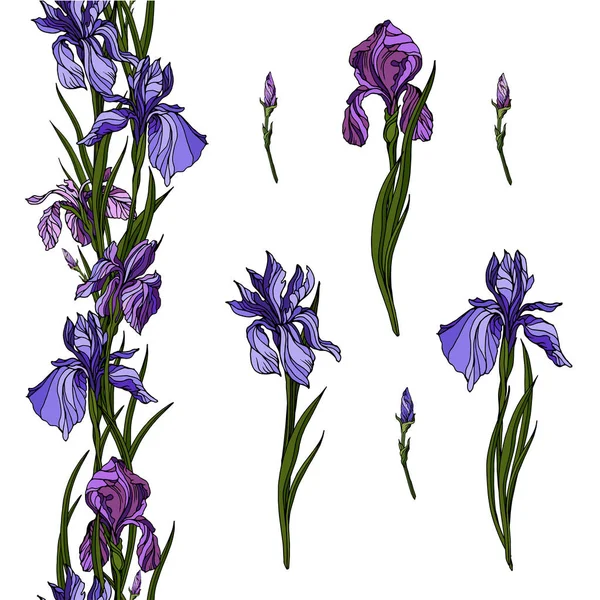 Gerçekçi vektör Iris hafif pembe mor paleti çiçeklenir. İzole öğe ve çiçek arch zarif yaz tasarım için 