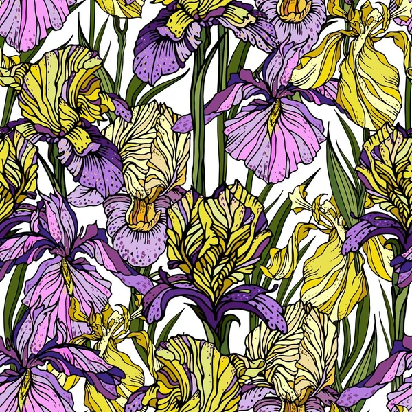 Beyaz arka plan üzerinde gerçekçi sarı ve hafif mor Iris çiçekli vektör seamless modeli. Yaz tasarımı için sonsuz doku