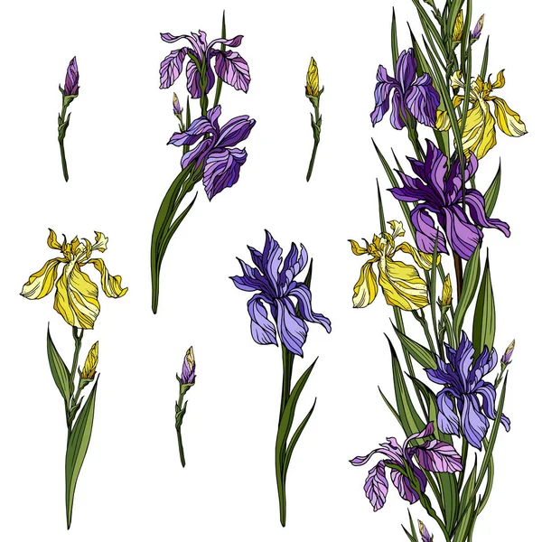 Sarı ve mor gerçekçi vektör Iris çiçekler ve bitkiler ile sonsuz çiçek süsleme