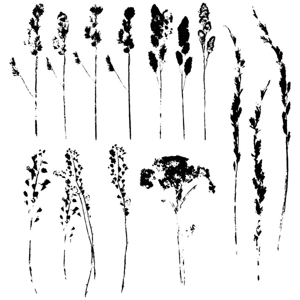 Otlar iz siluet vektör kümesi. Siyah üzerine beyaz elemanları tasarımı için.