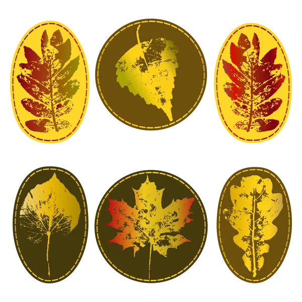 Vektör kümesi farklı sonbahar yaprakları ile sopa: rowan, akçaağaç, meşe, huş ağacı.