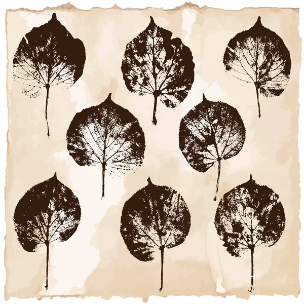 Antika arka plan üzerinde kahverengi renklerde linden yaprakların siluetleri vektör kümesi.